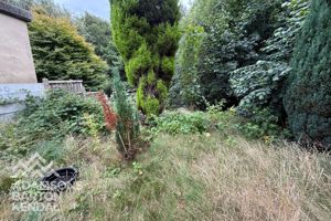 Photo 20- click for photo gallery